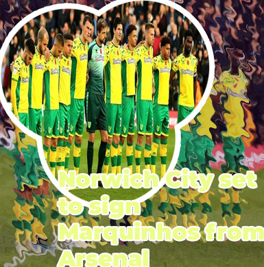Norwich city news now